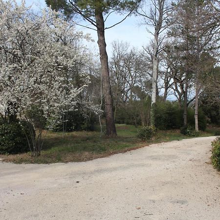 Ermitage Notre Dame De Vacquieres Bed and Breakfast Noves Εξωτερικό φωτογραφία