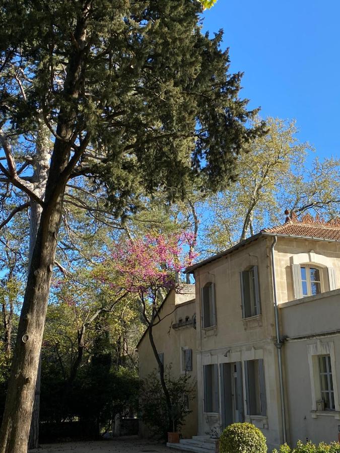 Ermitage Notre Dame De Vacquieres Bed and Breakfast Noves Εξωτερικό φωτογραφία