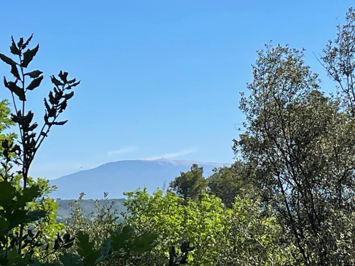Ermitage Notre Dame De Vacquieres Bed and Breakfast Noves Εξωτερικό φωτογραφία