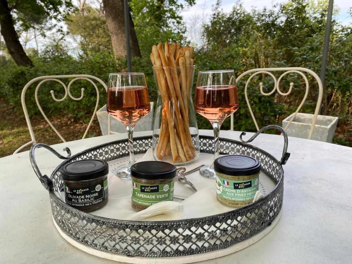 Ermitage Notre Dame De Vacquieres Bed and Breakfast Noves Εξωτερικό φωτογραφία
