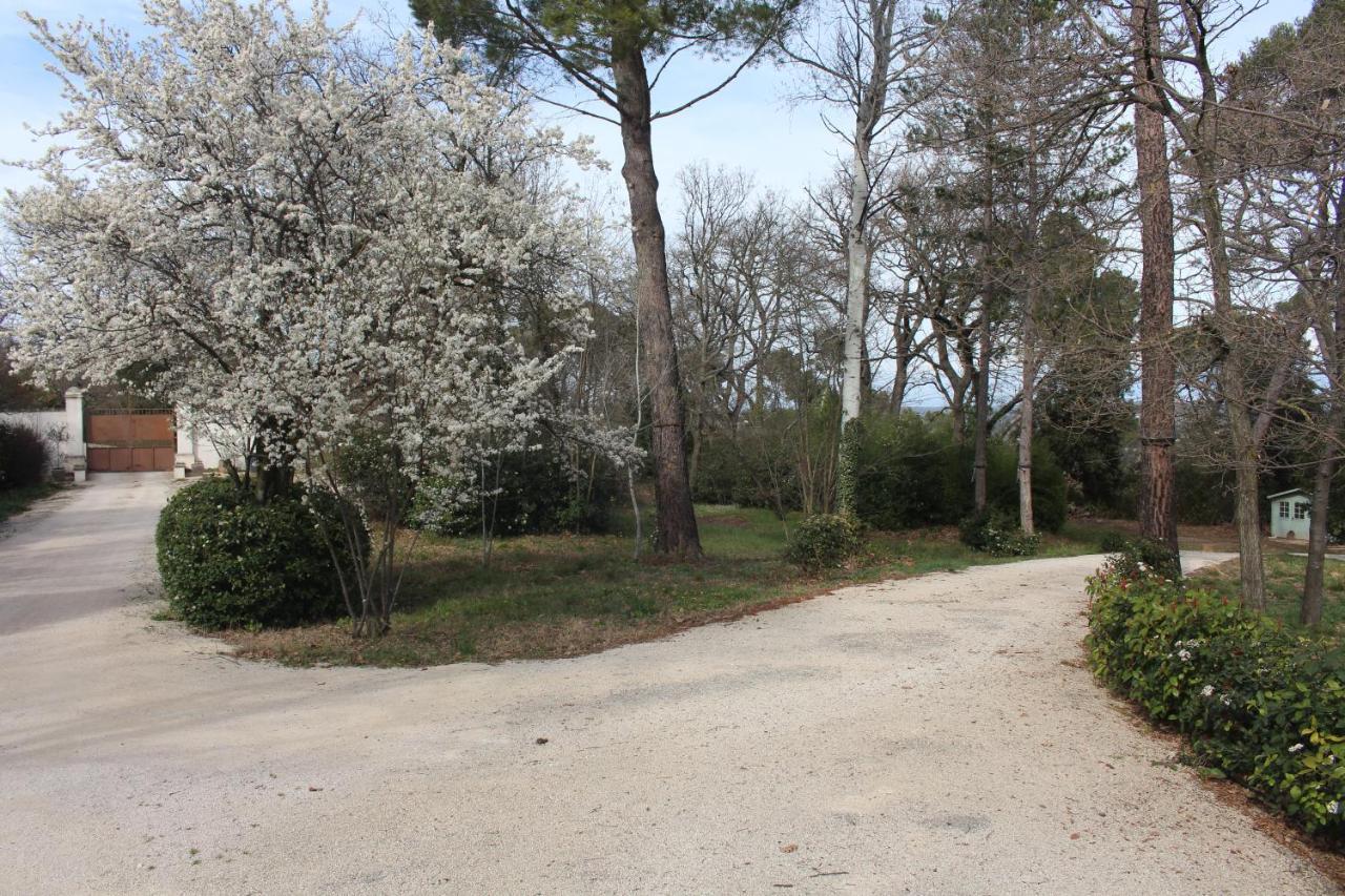 Ermitage Notre Dame De Vacquieres Bed and Breakfast Noves Εξωτερικό φωτογραφία
